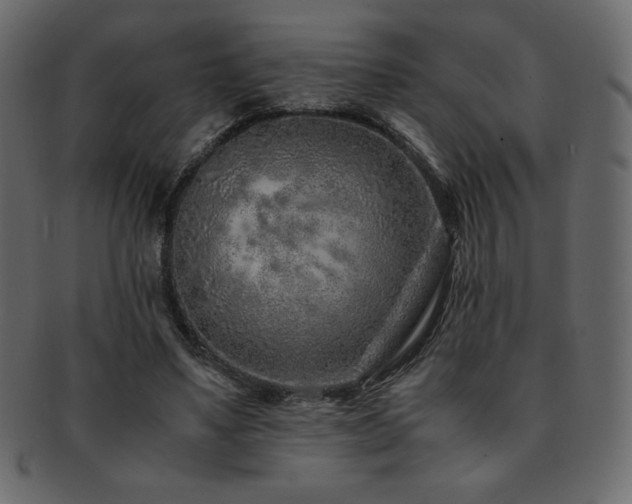 X0000093160491200709261512