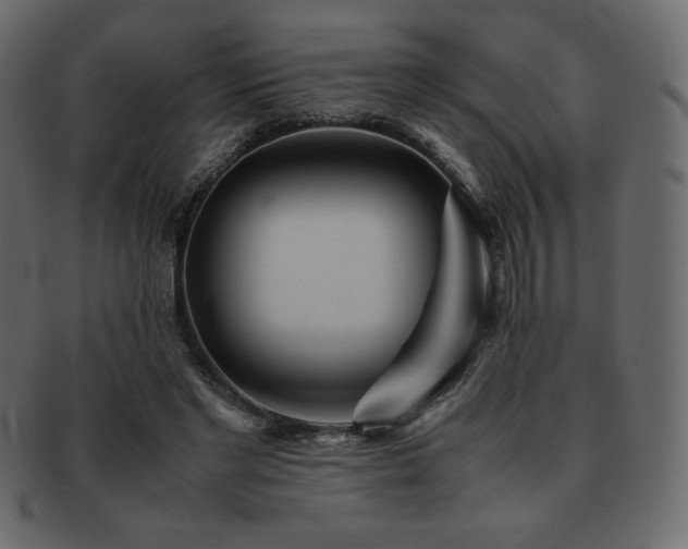 X0000093160493200709261512