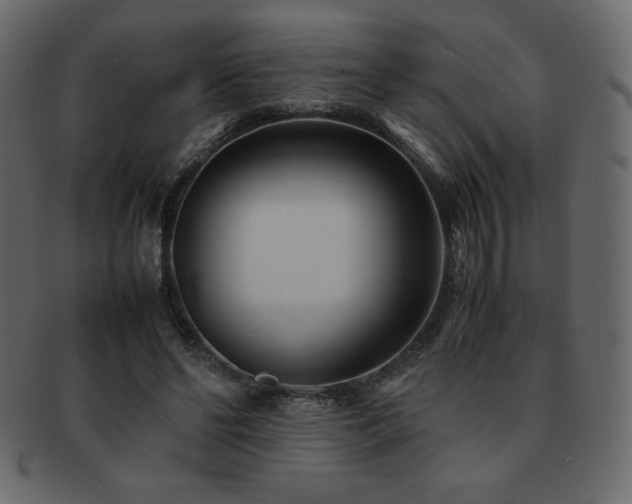X0000093160494200709261512