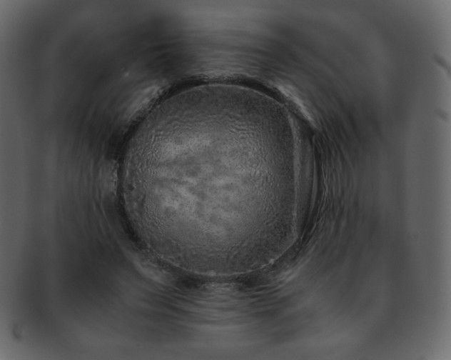 X0000093160495200709261512