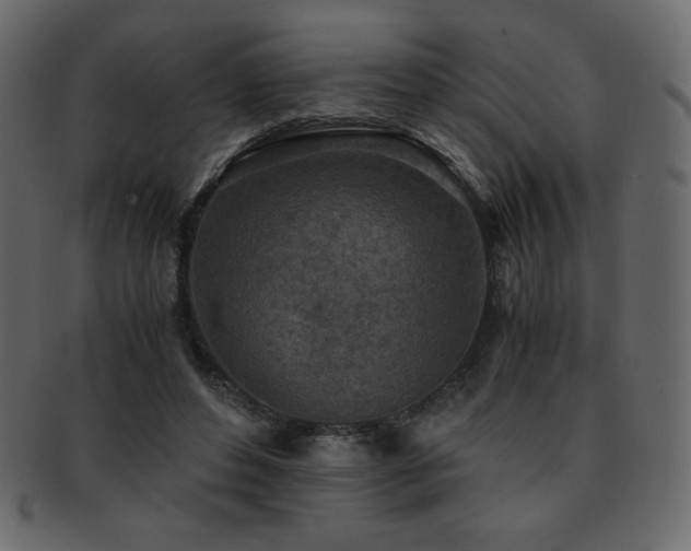 X0000093160496200709261512