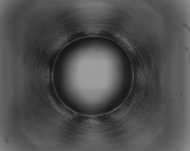 X0000093160498200709261512