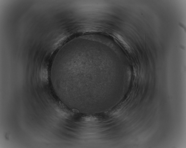 X0000093160500200709261512