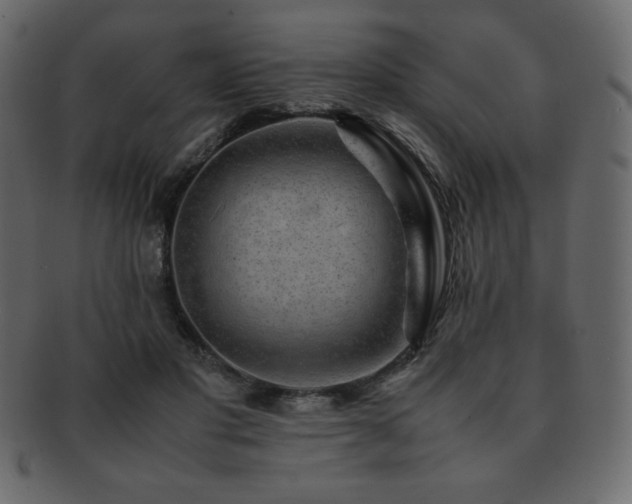X0000093160501200709261512