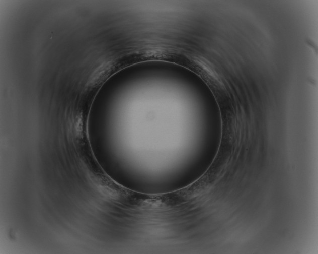 X0000093160502200709261512