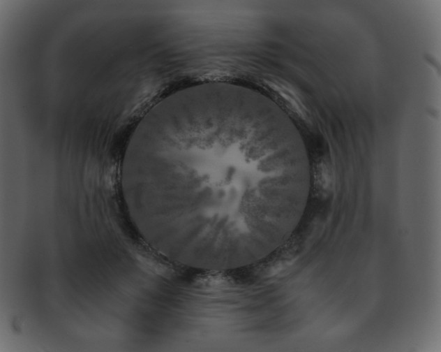 X0000093160503200709261512