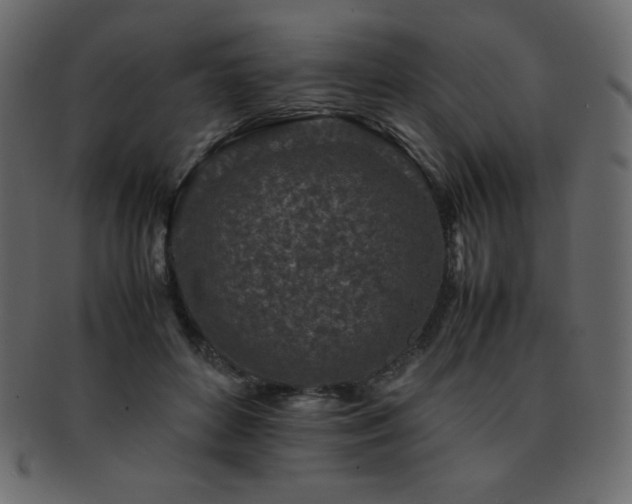 X0000093160504200709261512