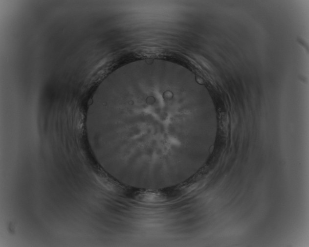 X0000093160507200709261512