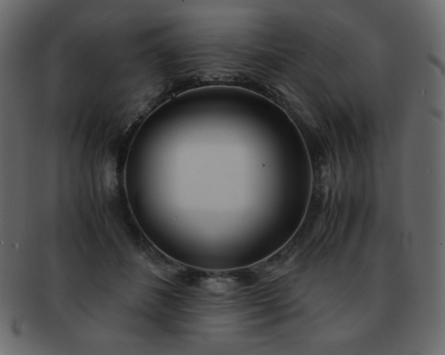 X0000093160508200709261512