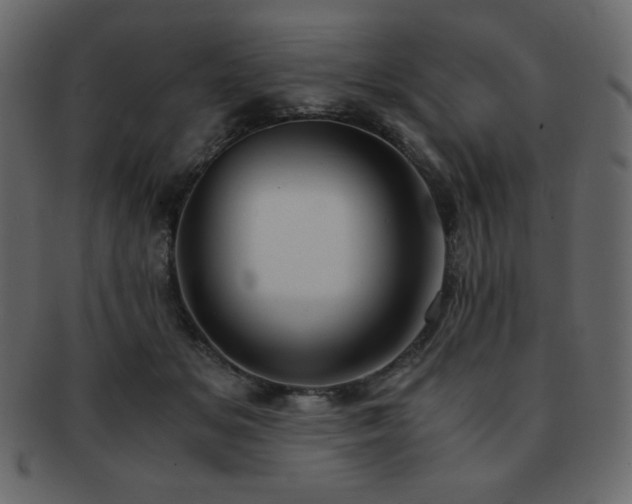 X0000093160509200709261512