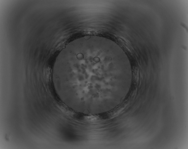 X0000093160511200709261512