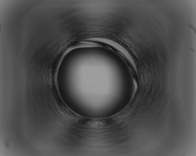 X0000093160512200709261512