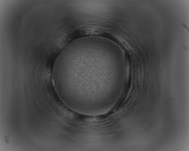 X0000093160513200709261512