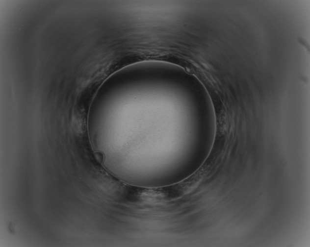 X0000093160515200709261512