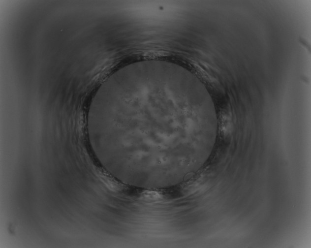 X0000093160519200709261512