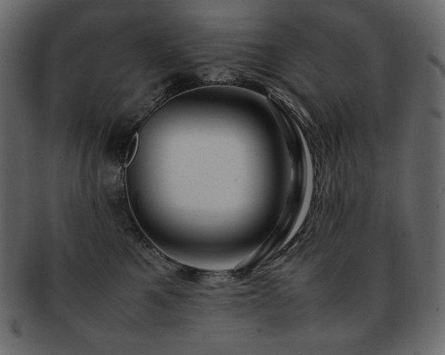 X0000093160521200709261512