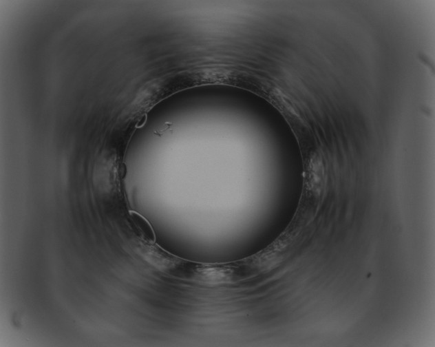 X0000093160522200709261512