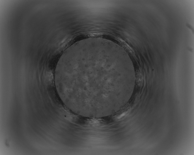 X0000093160523200709261512