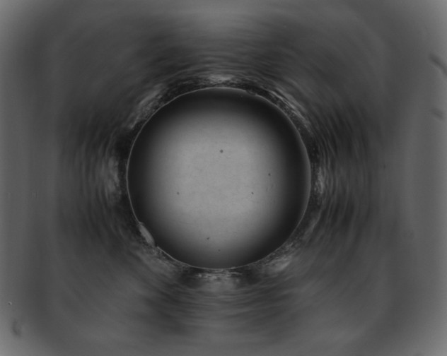 X0000093160524200709261512