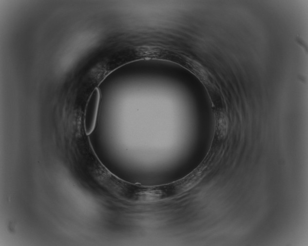 X0000093160525200709261511