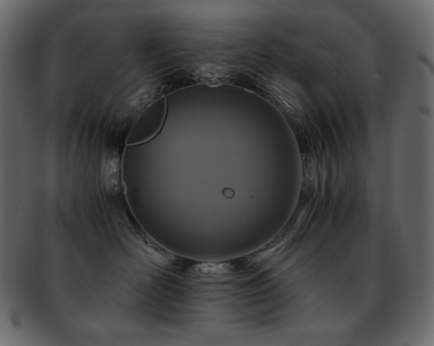 X0000093160526200709261511