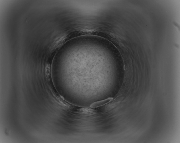 X0000093160528200709261511