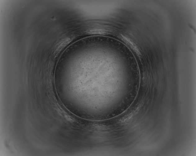 X0000093160529200709261511