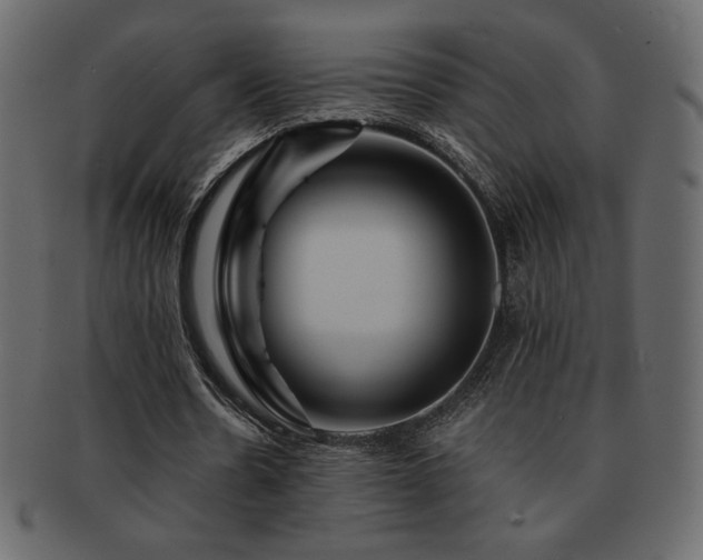 X0000093160530200709261511