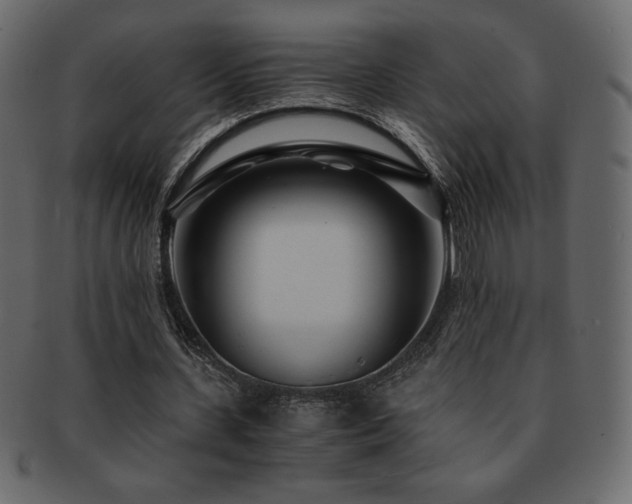 X0000093160531200709261511