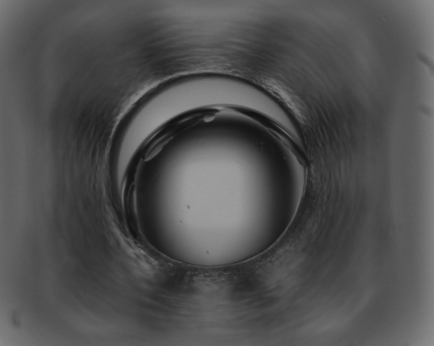 X0000093160532200709261511