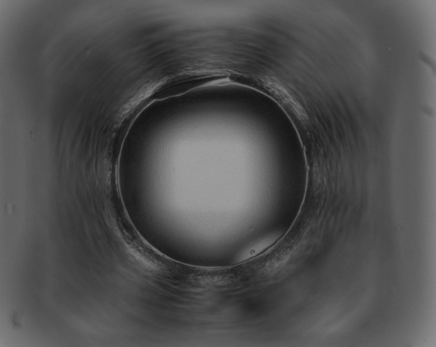 X0000093160533200709261511