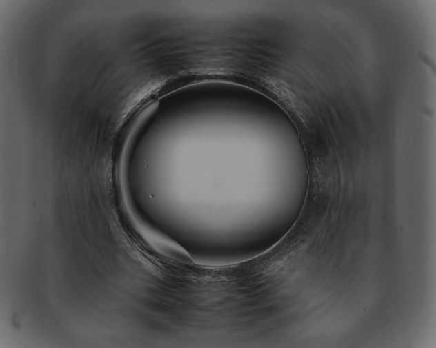 X0000093160535200709261511