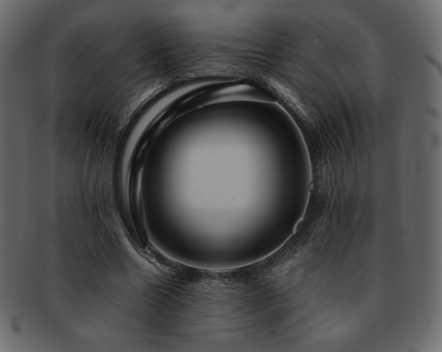 X0000093160538200709261511