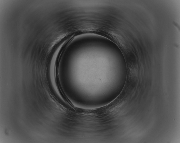 X0000093160539200709261511