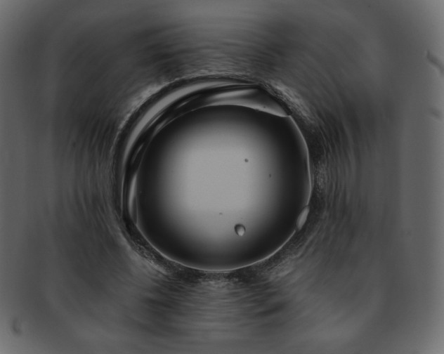 X0000093160540200709261511