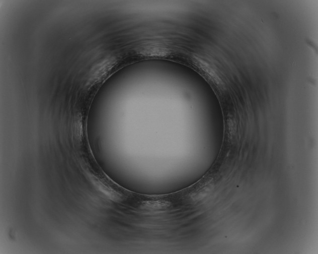X0000093160541200709261511