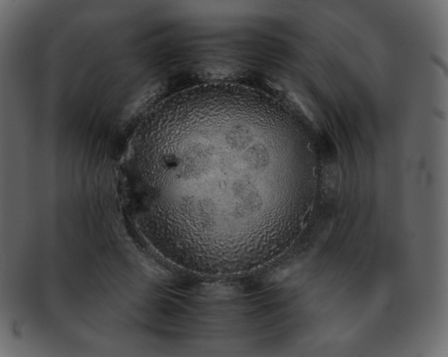 X0000093160545200709261511