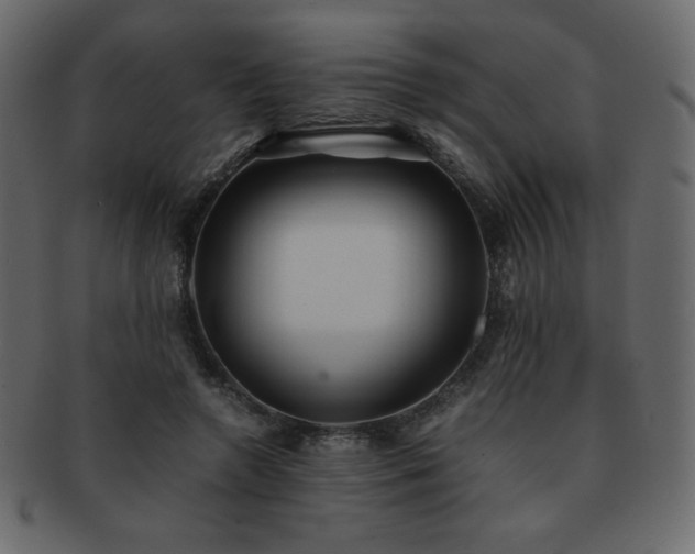 X0000093160546200709261511