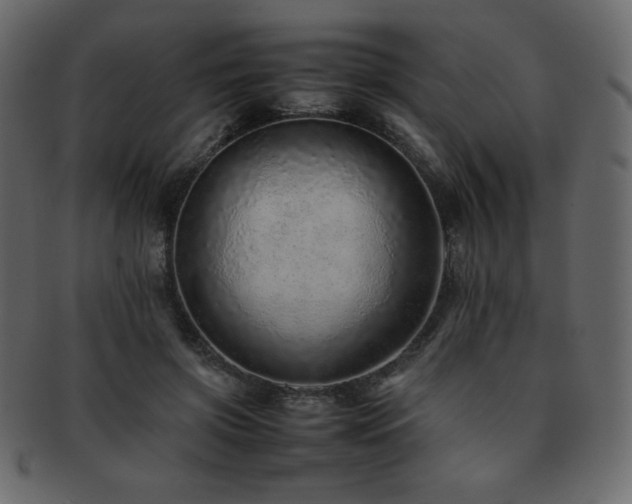 X0000093160549200709261511