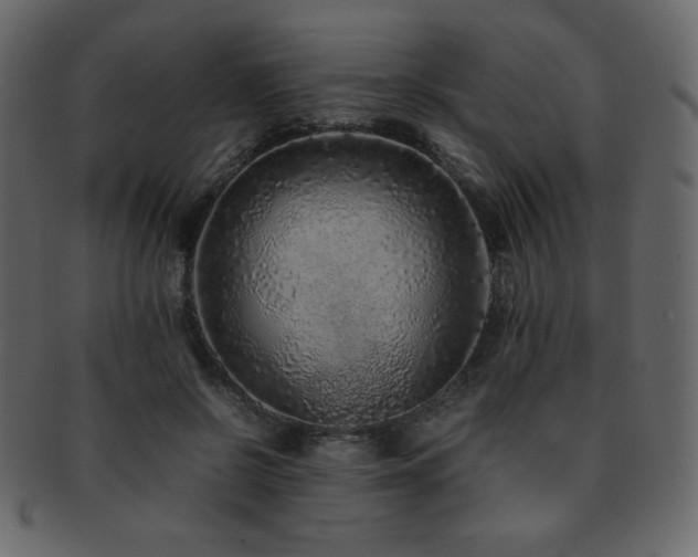X0000093160550200709261511