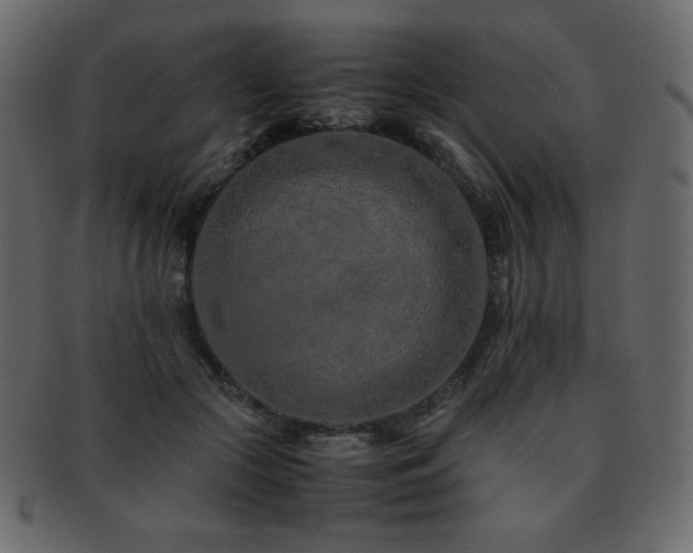 X0000093160553200709261511