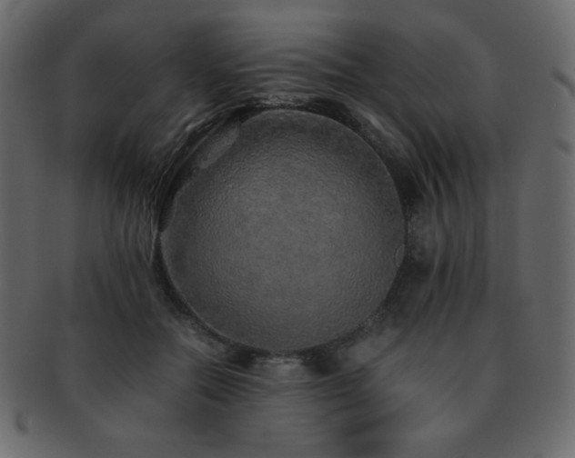 X0000093160554200709261511