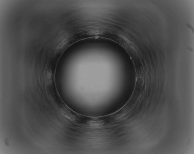 X0000093160556200709261511