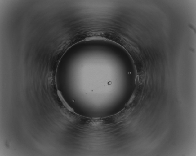X0000093160560200709261511