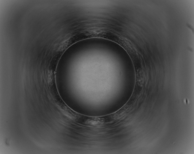 X0000093160563200709261511