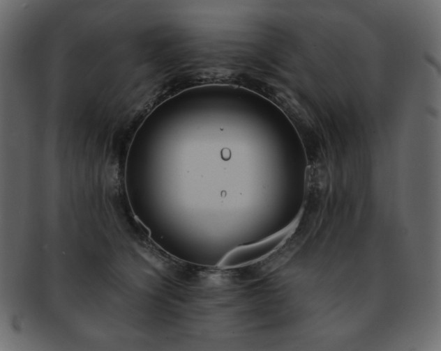 X0000093160564200709261511