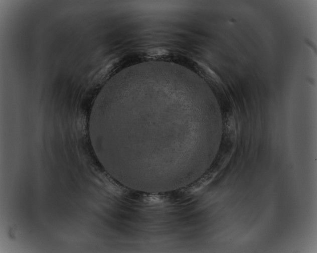 X0000093160565200709261511