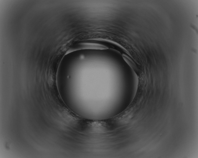 X0000093160566200709261511
