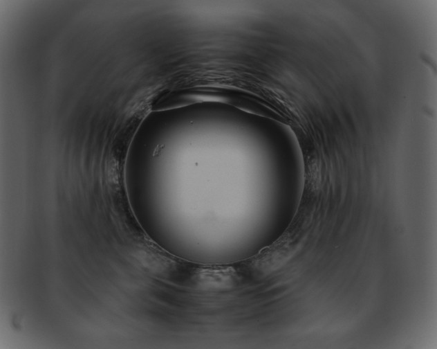 X0000093160571200709261511
