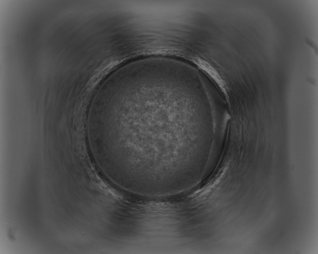 X0000093160577200709261511